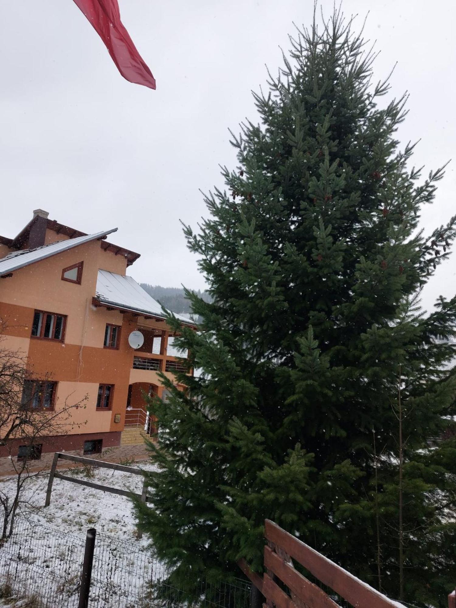 Pensiunea Adela Fundu Moldovei Exterior foto